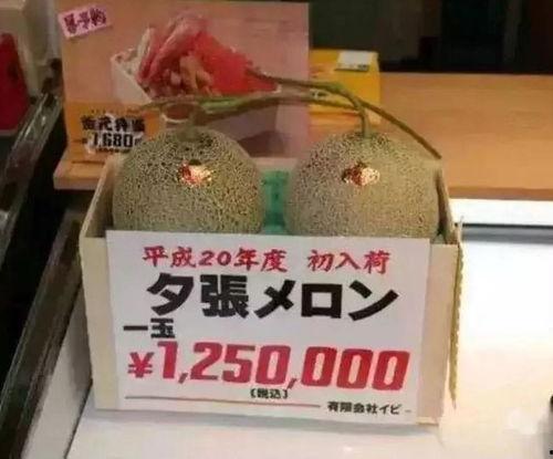 娱乐大瓜吃不停,大瓜不断来袭！